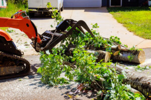 Machine clearing fallen tree branches Skid Steer Attachments Grapples